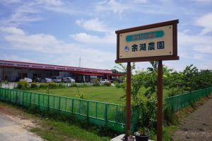 �L����З]�Δ_��