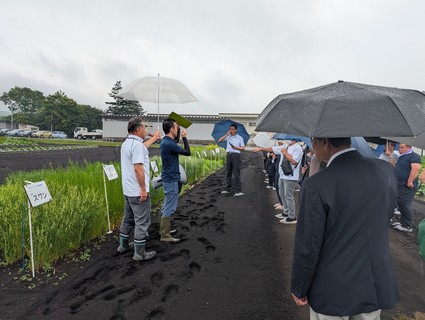 �q�V�r����c�����������@�Δ�ޏ�