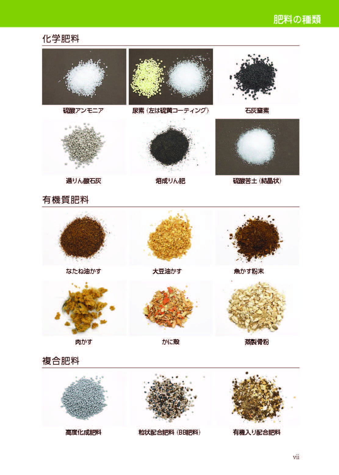 ��������y�Ǝ{��̐V�m��