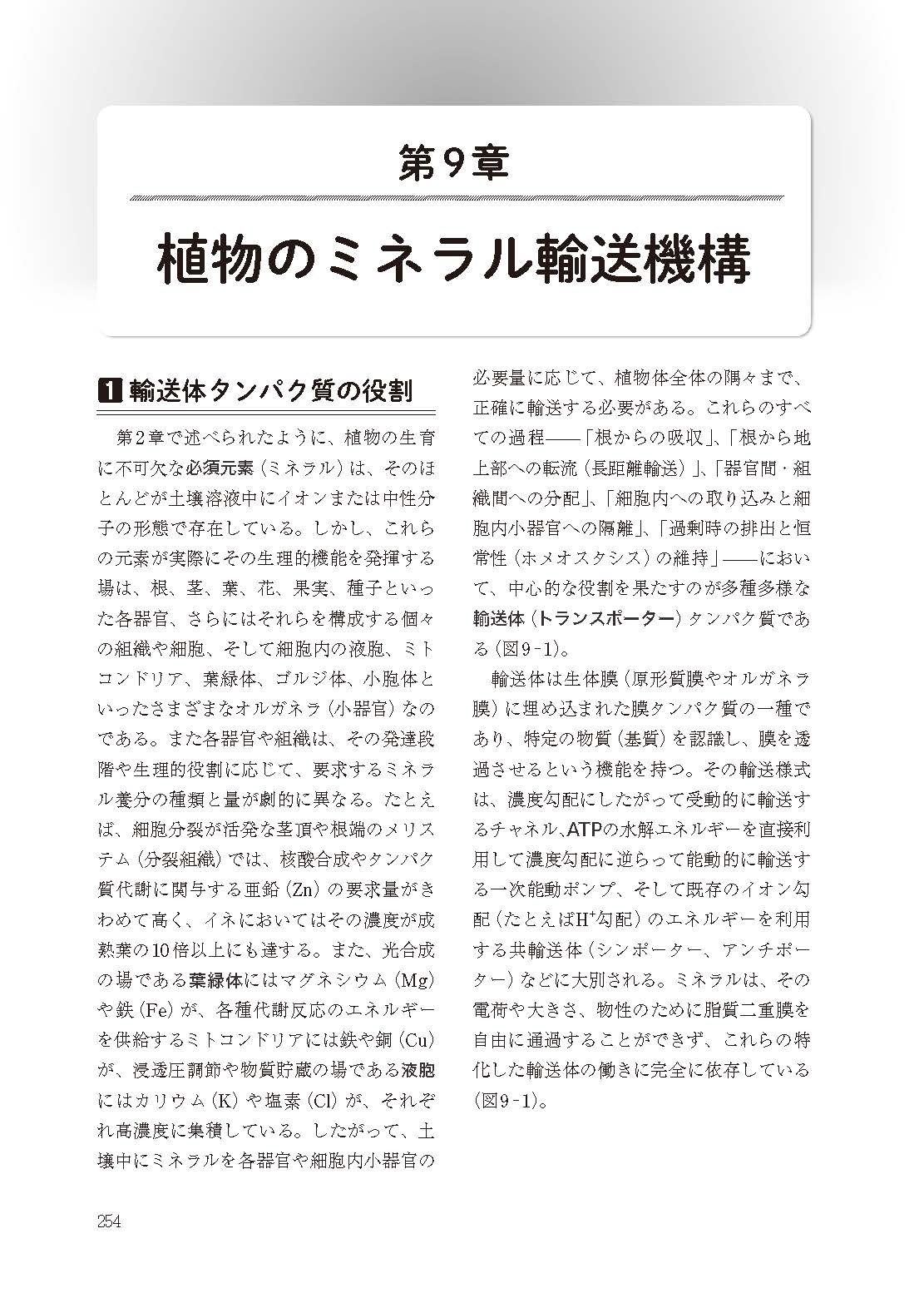 ��������y�Ǝ{��̐V�m��