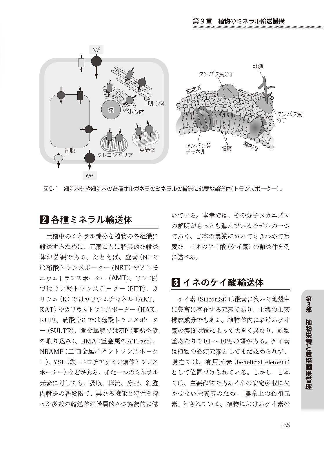 ��������y�Ǝ{��̐V�m��